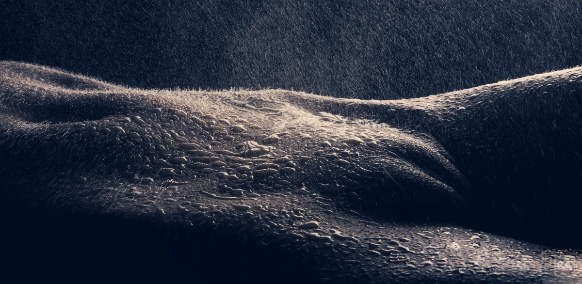 Körperstudien · 04 – Corpus Art